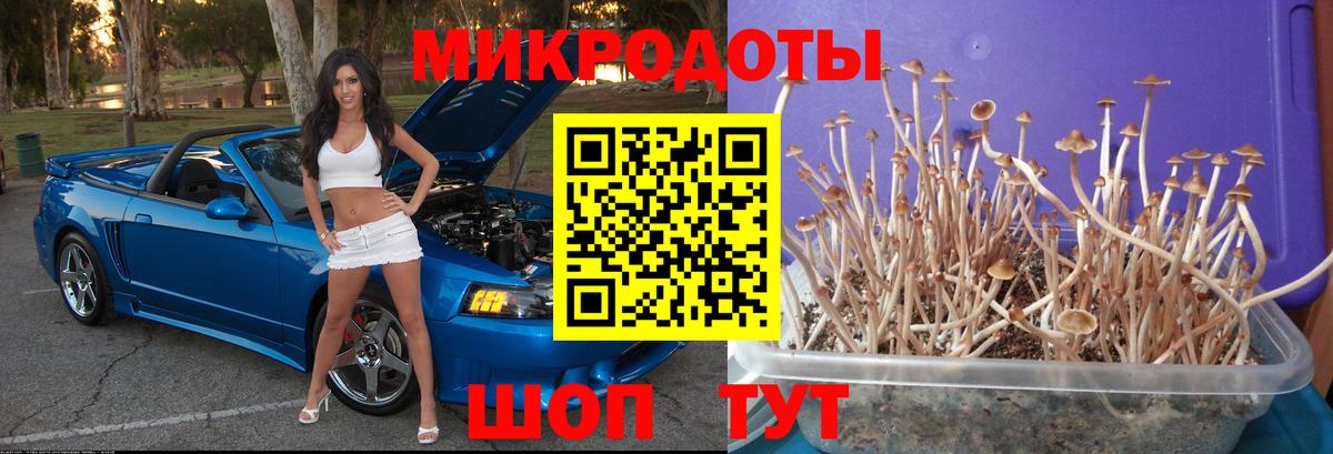 Псилоцибиновые грибы Psilocybine cubensis  Вход с VPN  Галлюциногенные грибы Psilocybine cubensis  Тихорецк 