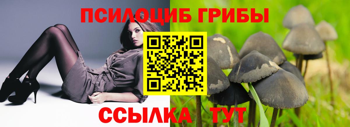 Псилоцибиновые грибы MAGIC MUSHROOMS Тихорецк
